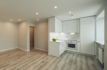 Bright interior of contemporary renovated apartment. White kitchen with fridge and oven. Parquet floor.