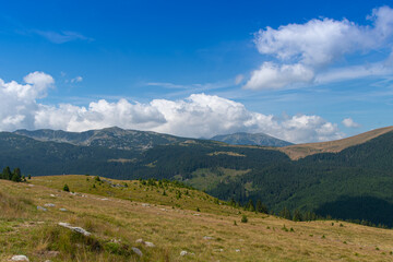 Fototapeta na wymiar Landscape of Parang mountains in Romania, in summer 