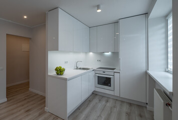 Fototapeta na wymiar Modern interior of luxury studio apartment after renovation. White kitchen with fridge and oven. Living room without furniture.