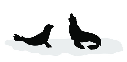 Seal couple on iceberg silhouette. Sea lion on block of ice vector silhouette illustration isolated on white background. Polar animals family in cold winter environment.