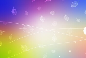 Light Multicolor vector doodle backdrop with trees, branches.