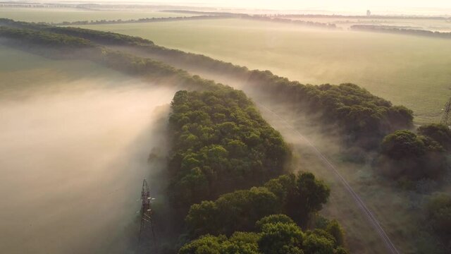 Fog over the forest and railway tracks.