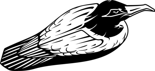 A sitting seagull. Black and white vector stylized illustration.