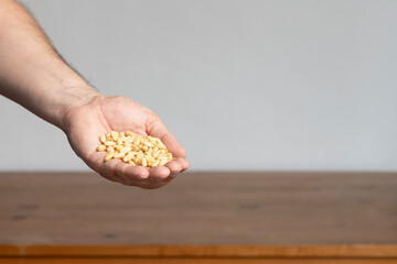 Bio Pinienkerne Zutat in der Hand