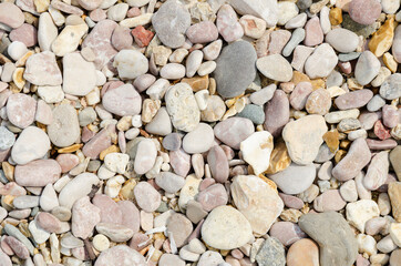 natural background multicolored dry sea pebbles on the seashore