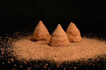 Truffle isolated on black background