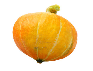 Orange pumpkin on white background 