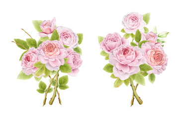 hand drawn watercolor roses bouquets set