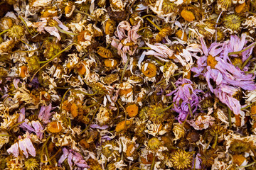 A lot of dried flowers for tea to add. Antioxidant natural herb mix. Background with dried flowers as a concept of herbal tea with aromatic ingredients.