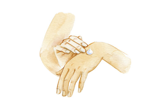 Hands of a woman watercolor isolated on white background.