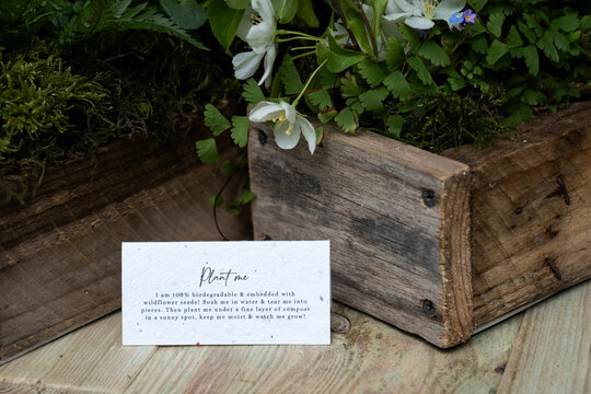Crate of wild flowers, decorations for a woodland naming ceremony