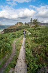 Girl walking down a misty pathway through the forests in the Wicklow mountains in Ireland