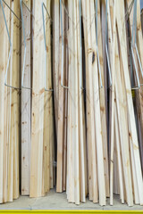 Large group of long wooden planks standing on the floor in household store