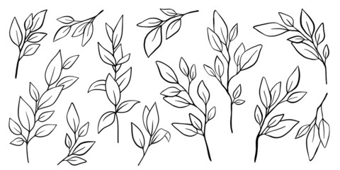 set of black hand drawn line doodle floral branches, tree leaves, tropical elements, laurel. Design nature element collection isolated on white. Vector illustration.