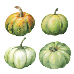 Watercolor pumpkins set. Hand painted green, orange with green pumpkins, isolated on white background. Autumn illustration for fall disign, thanksgiving, halloween