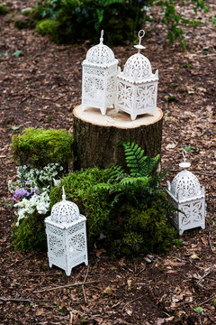 Lanterns, candle holders and spring flowers in a forest