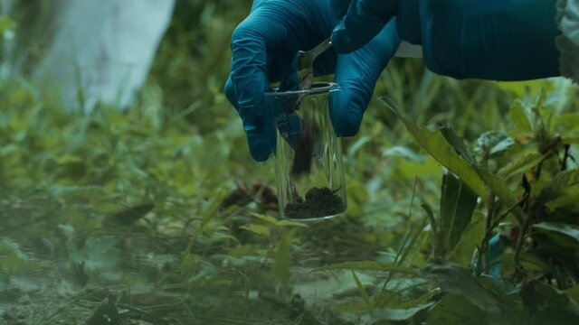 Process of taking soil analysis, using flask and little shovel, wearing protective suit and gloves, sample for toxicity testing close-up. Scientific researching, field laboratory, infection zone