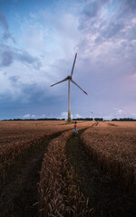 Sunset in the field