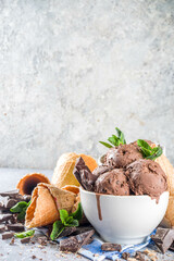 Homemade chocolate ice cream