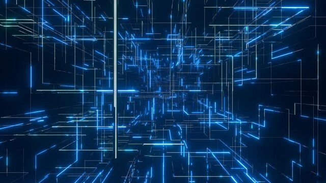 ビジネス インターネット トンネル VJ ネットワーク 青 [ループ対応] [別Verあり]