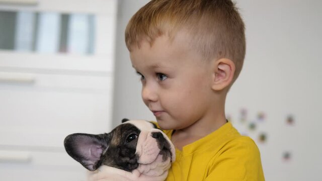 Happy boy hugs the dog and kisses its face. The child dog plays emotionally. Childhood. Pets. Love for pets.