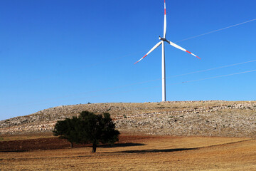 wind turbines farm