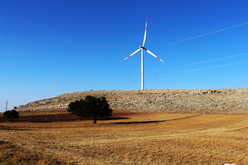 wind turbines farm