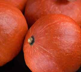 Closed up bright orange pumpkins. Selective focus. Autumn vegetable background.