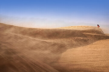 Fototapeta na wymiar Lonely sand dunes in a strong wind under the sky against the background of arid desert