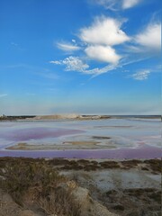 Les salins de camargue