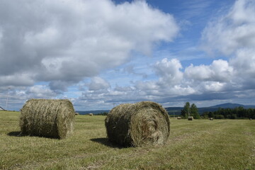 The hay harvest under a blue sky, Sainte-Apolline, Québec, Canada