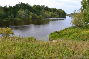 Lake in the forest, algae on the water