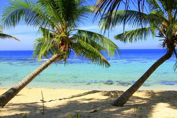 Paradise beach with bent coconut trees