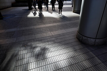 朝の光に照らされた石作りの歩道