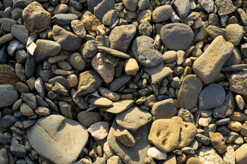 Small rocks on the seashore. Different textures background with copy space.