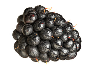 blackberry berry in water drops isolated on white