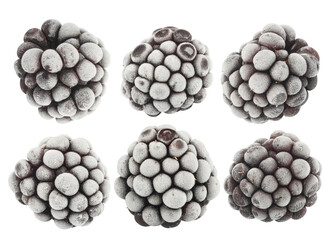 set of frozen blackberries isolated on white background