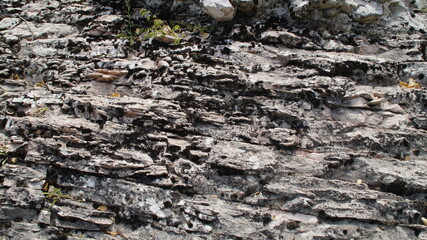 Rocce lungo il sentiero 238A ad Apecchio nelle Marche