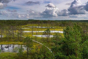 wooden boardwalk nature trail leading through a peat bog landscape with sparse trees