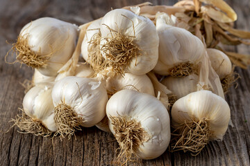 fresh ripe garlic on wood background. Close up