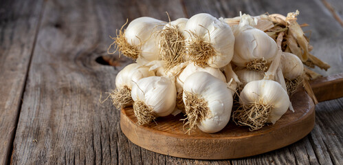 fresh ripe garlic on wood background. Copy space