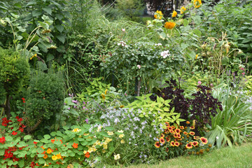Jardin anglais en été