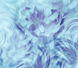 Blue tulips.  Flowers and petals  on blue  background.  Closeup.  Nature.