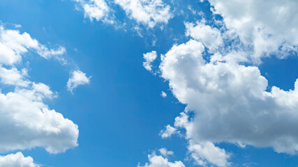 Fototapeta premium 青空・雲