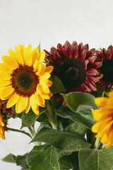 Naklejka premium Sunflowers are red and yellow on a brown background