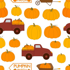 Seamless pattern pumnpkin patch vector illustration. Harvesting pumpkins