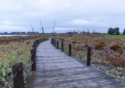 Timaru's Caroline Bay