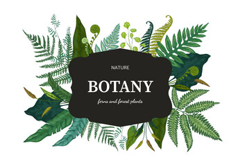 Botanical background. Hand drawn wallpaper with forest foliage. Green fern sprouts and bourgeon. Frame with lettering and decorative wild plant leaves. Vector floral design template - obrazy, fototapety, plakaty