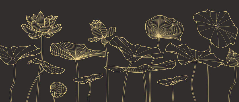 Luxury Golden Lotus hand drawn vector background