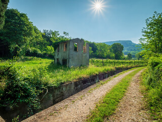 Fototapeta na wymiar Green landscape with a wine field and an old bricked house in Italy